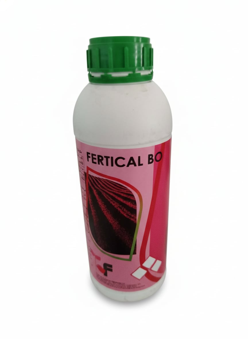 فيرتيكال بو